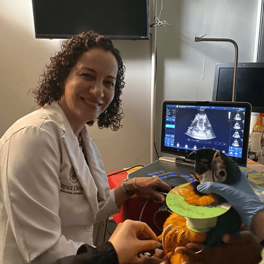 Dra. Nanci Diniz durante ecocardiograma de um pequeno paciente